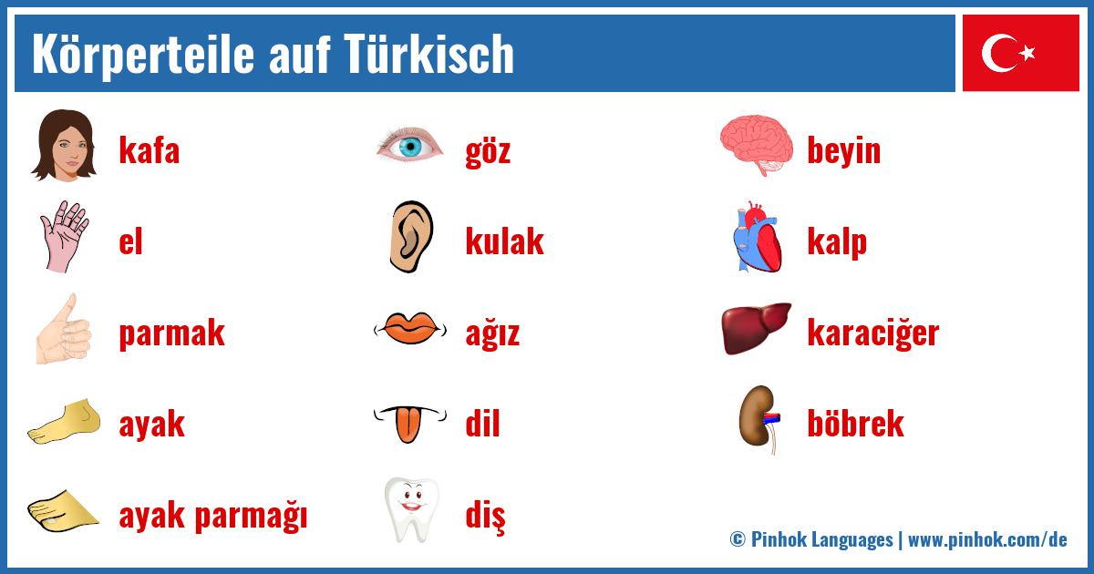 Körperteile auf Türkisch