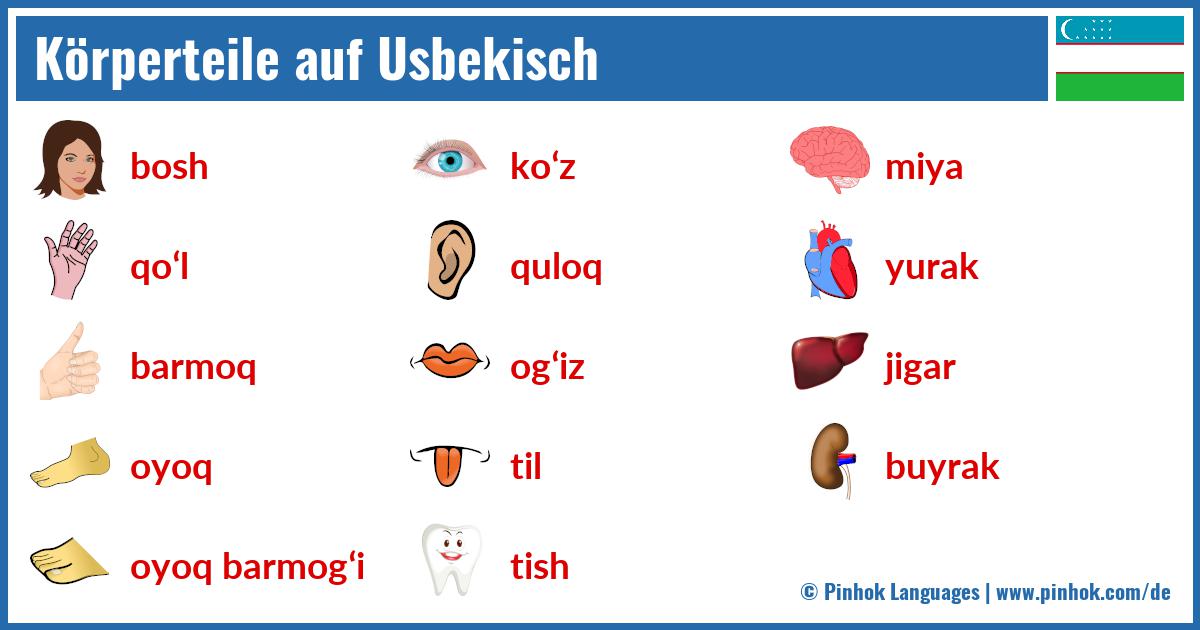 Körperteile auf Usbekisch