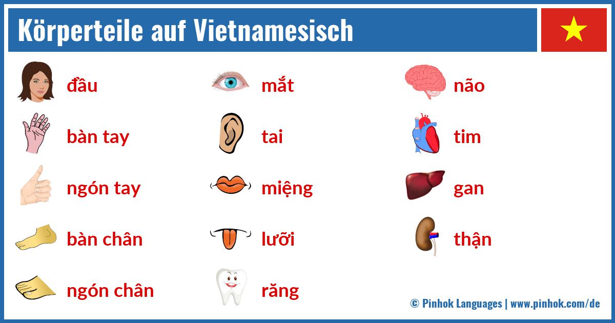 Körperteile auf Vietnamesisch