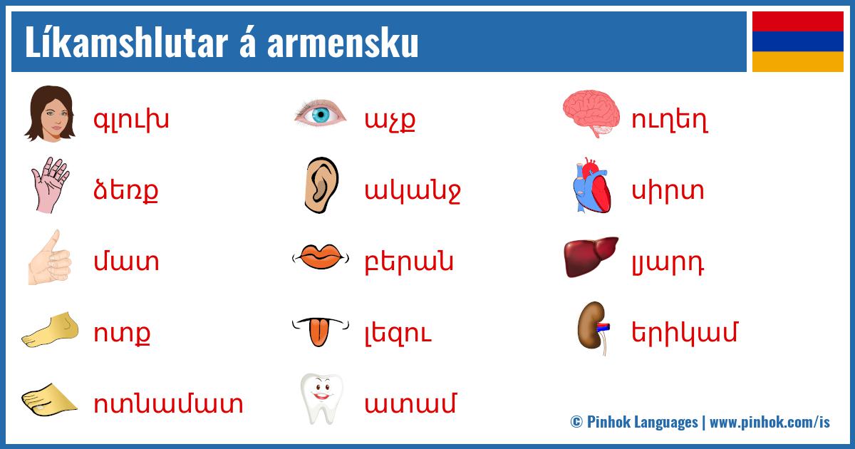 Líkamshlutar á armensku