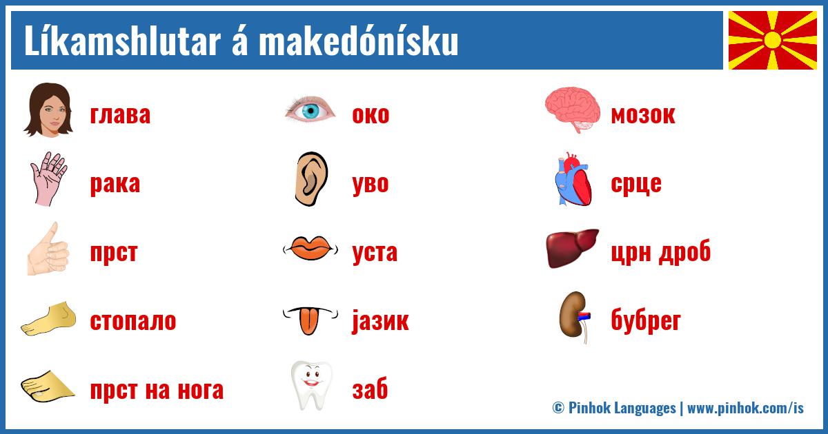 Líkamshlutar á makedónísku