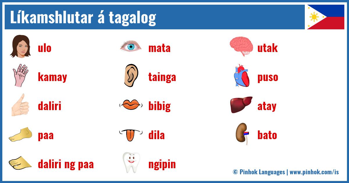 Líkamshlutar á tagalog