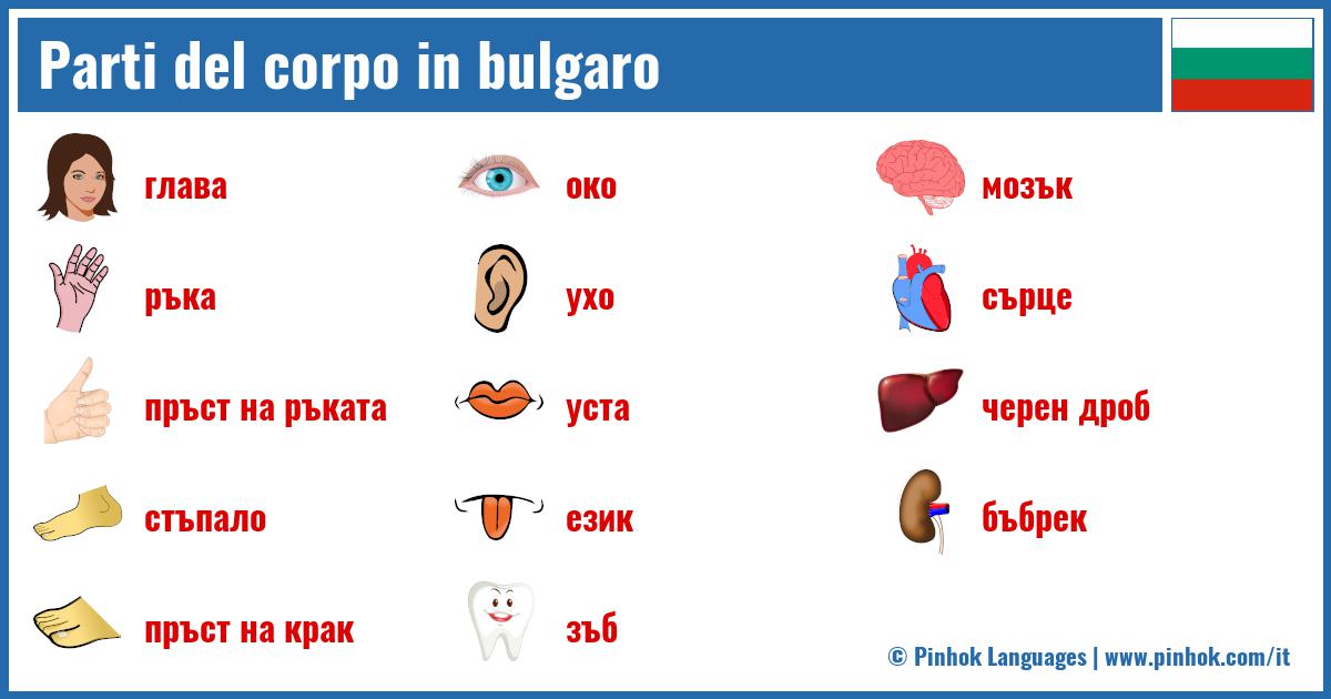 Parti del corpo in bulgaro