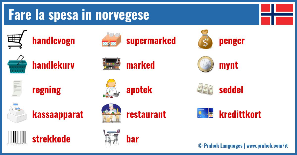 Fare la spesa in norvegese