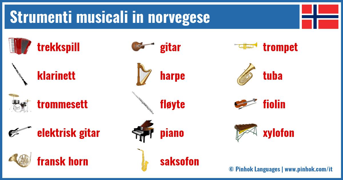 Strumenti musicali in norvegese