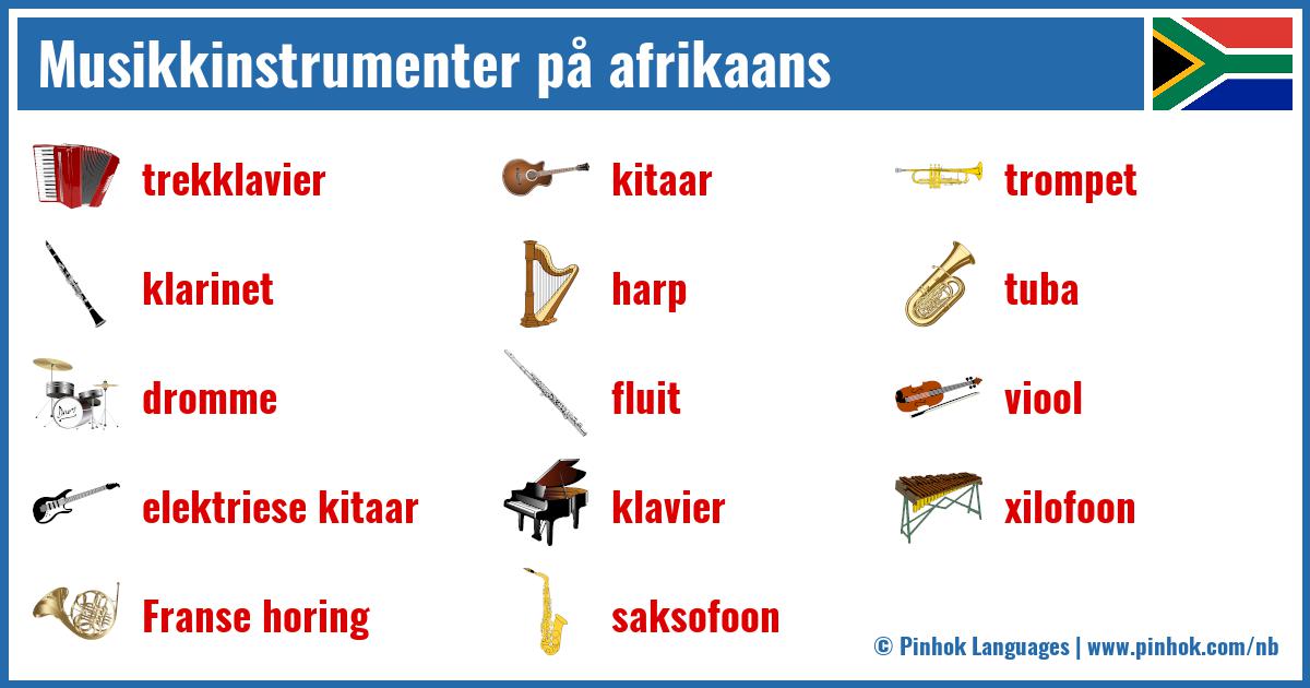 Musikkinstrumenter på afrikaans