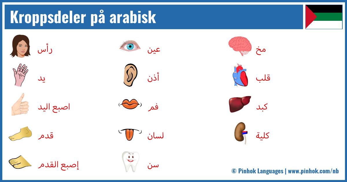 Kroppsdeler på arabisk
