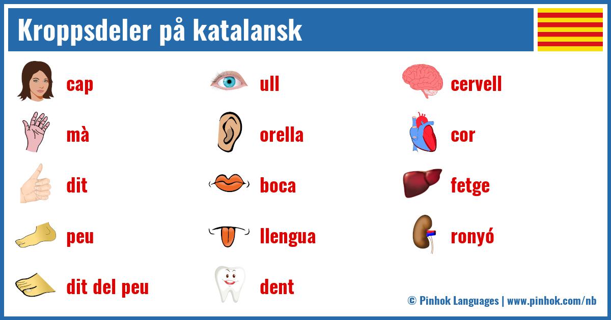 Kroppsdeler på katalansk