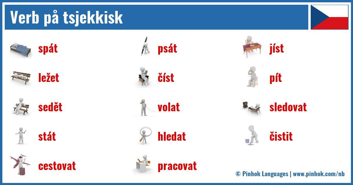 Verb på tsjekkisk