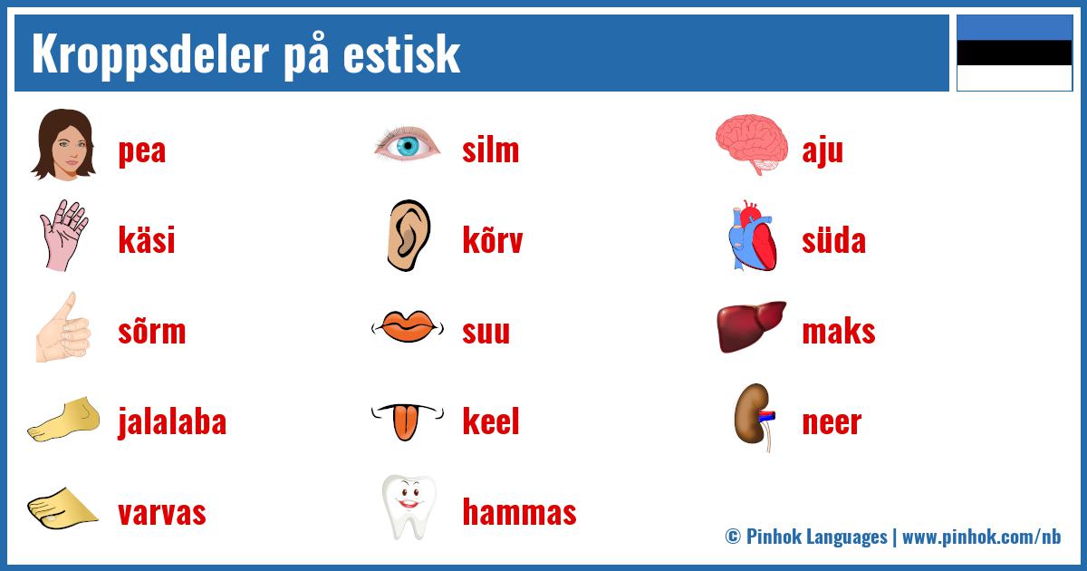 Kroppsdeler på estisk