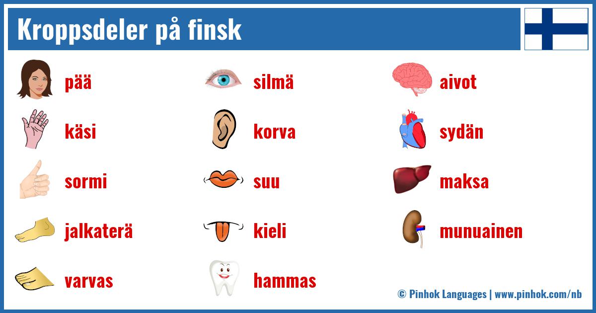 Kroppsdeler på finsk
