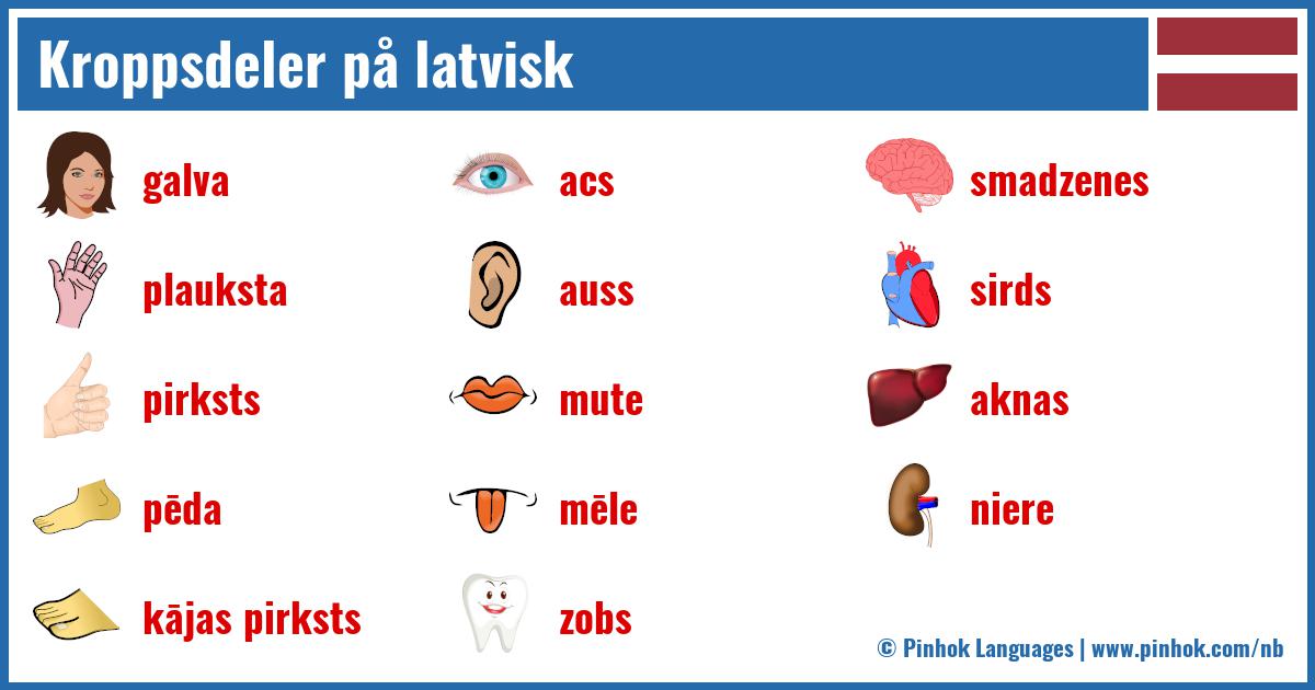 Kroppsdeler på latvisk