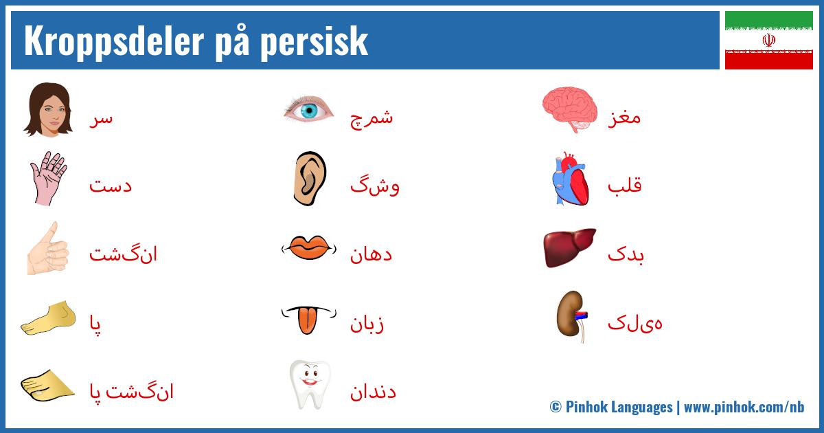 Kroppsdeler på persisk