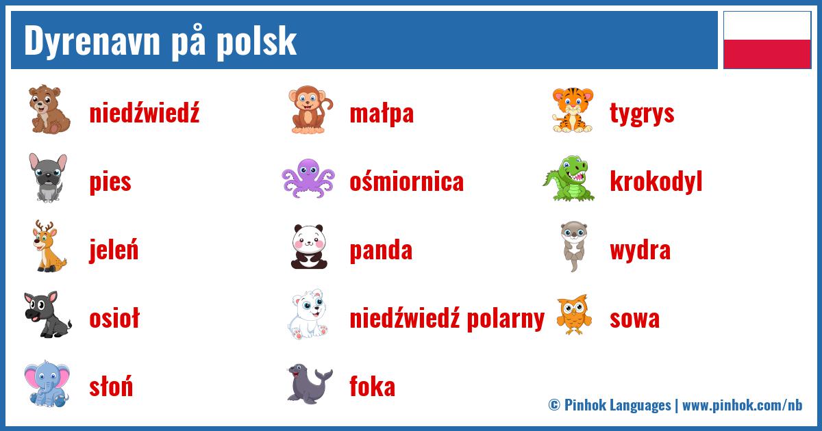 Dyrenavn på polsk