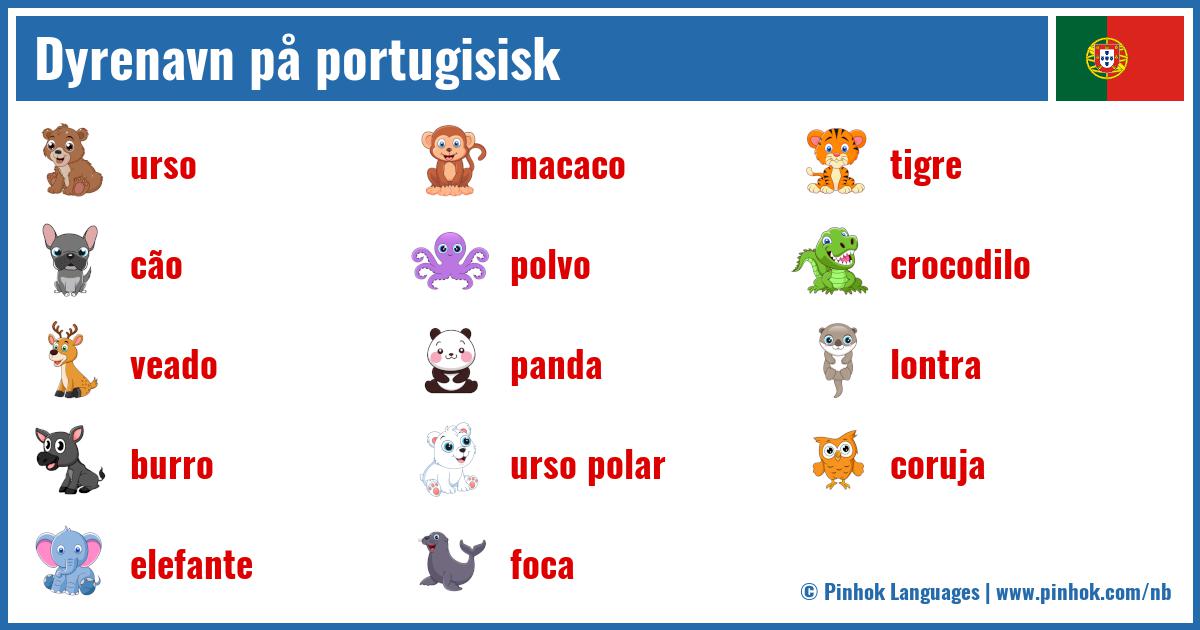 Dyrenavn på portugisisk