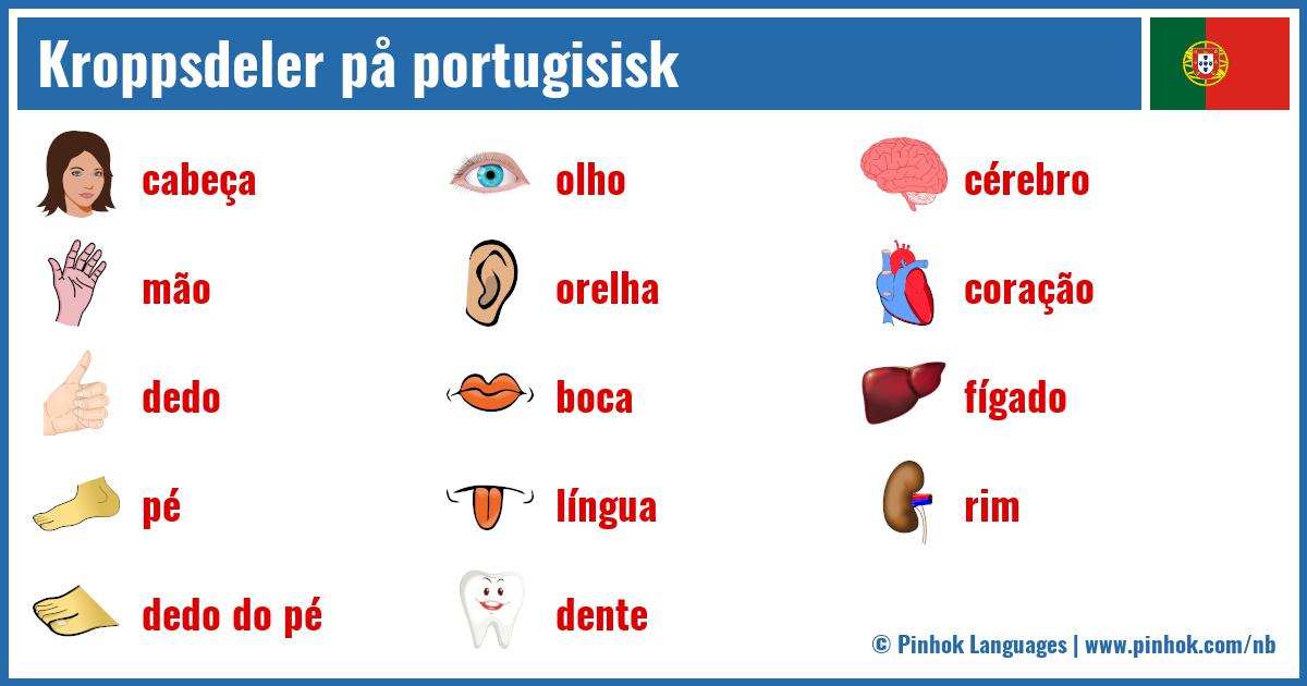 Kroppsdeler på portugisisk