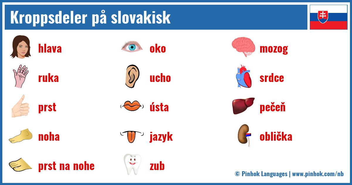 Kroppsdeler på slovakisk