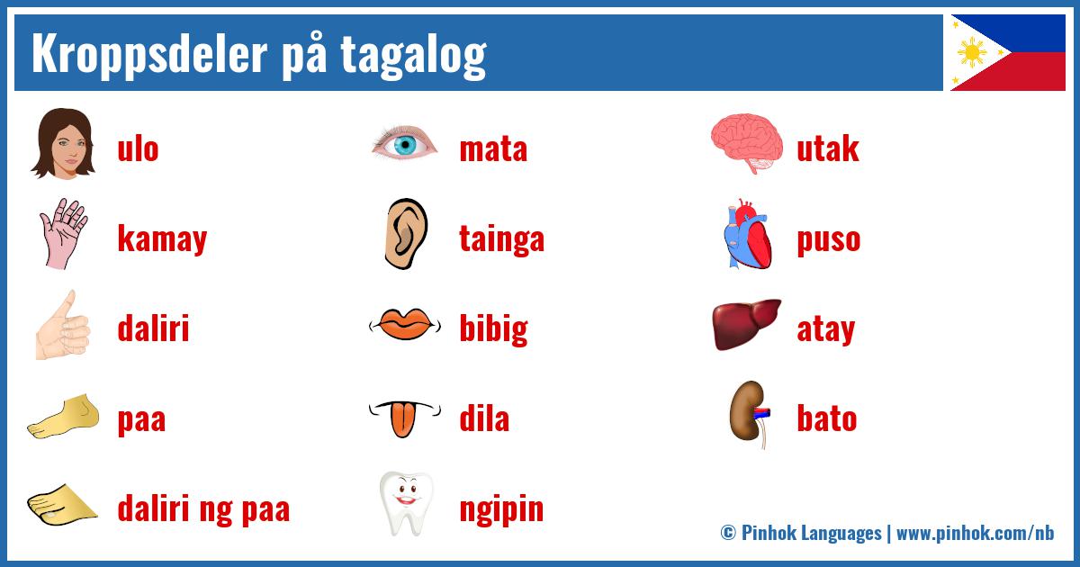 Kroppsdeler på tagalog
