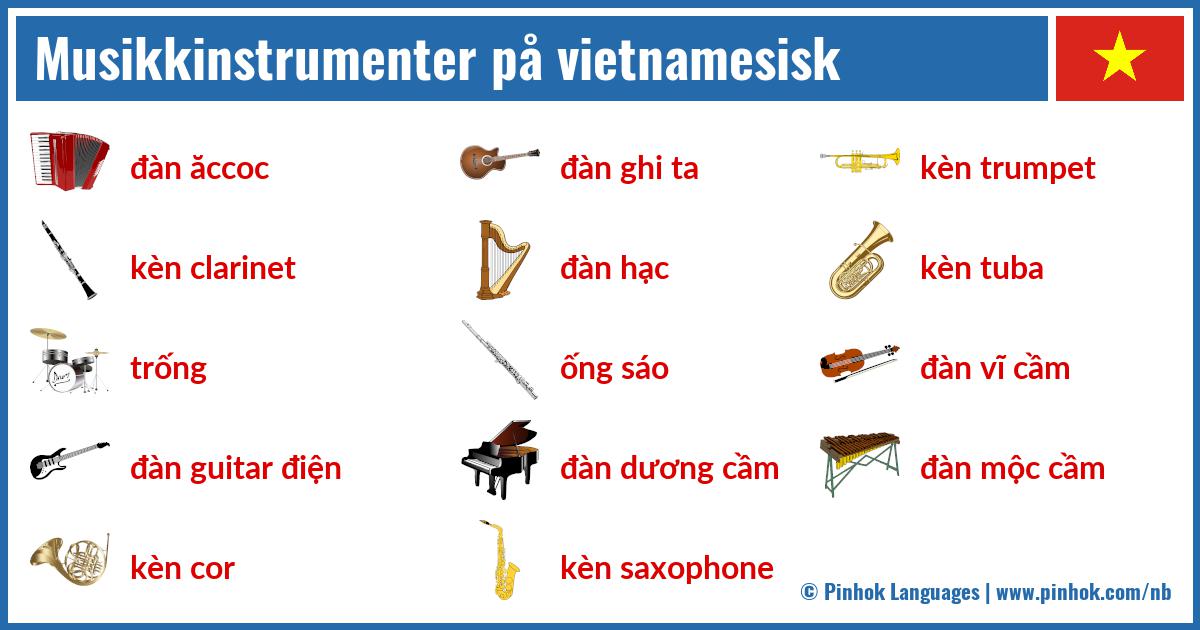 Musikkinstrumenter på vietnamesisk