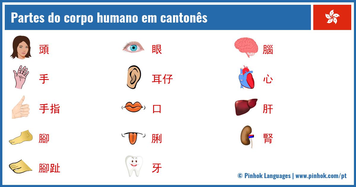 Partes do corpo humano em cantonês