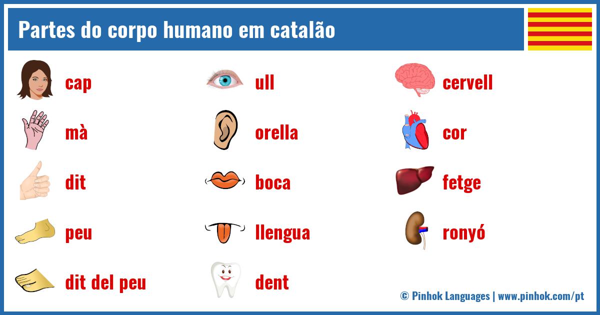 Partes do corpo humano em catalão