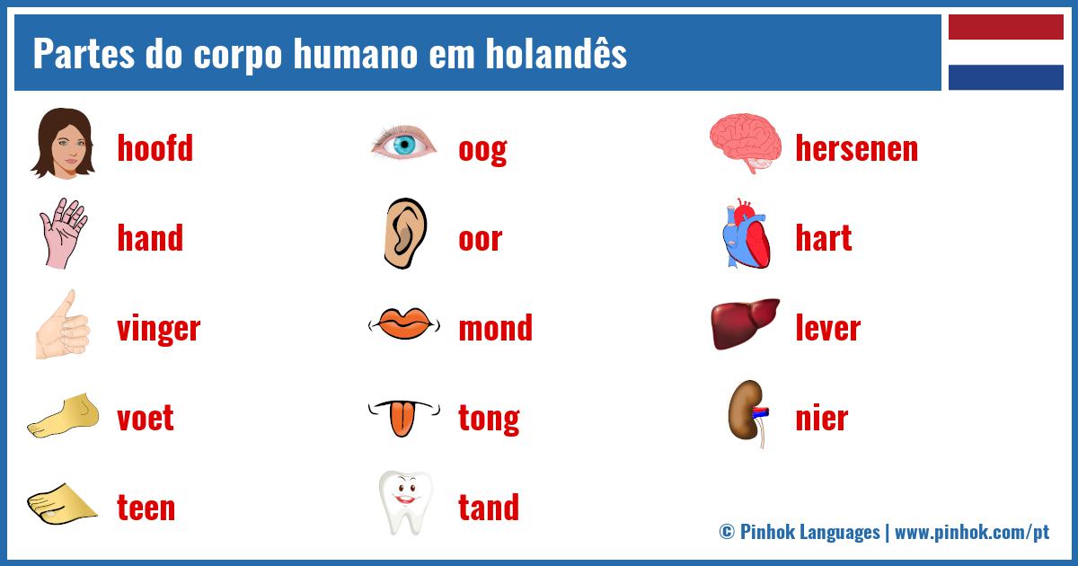 Partes do corpo humano em holandês