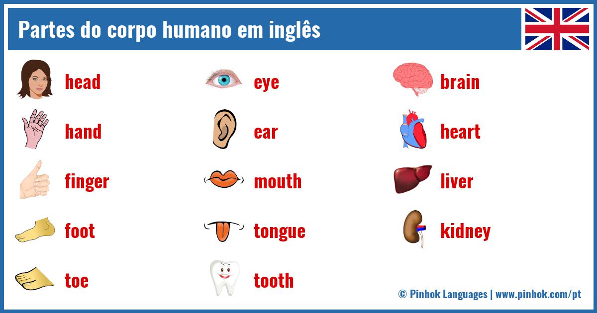 Partes do corpo humano em inglês