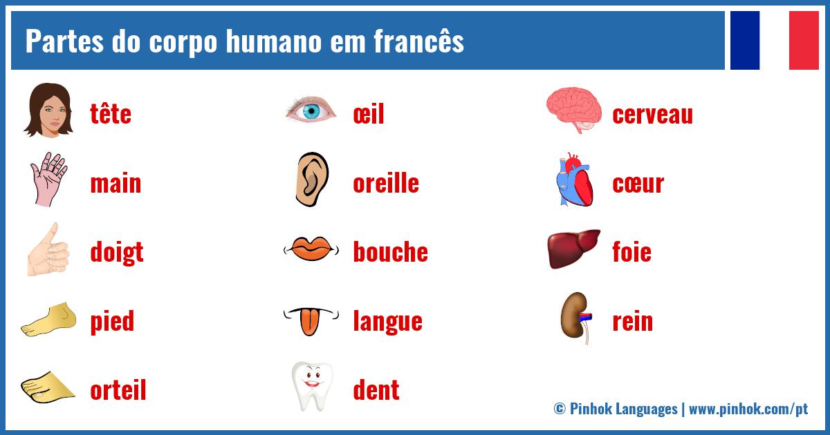 Partes do corpo humano em francês