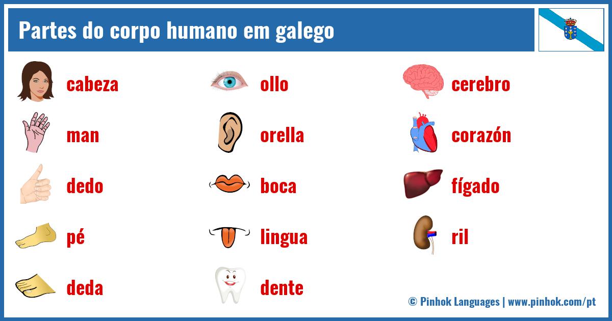 Partes do corpo humano em galego