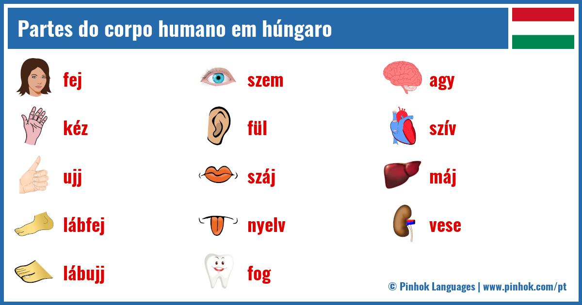 Partes do corpo humano em húngaro