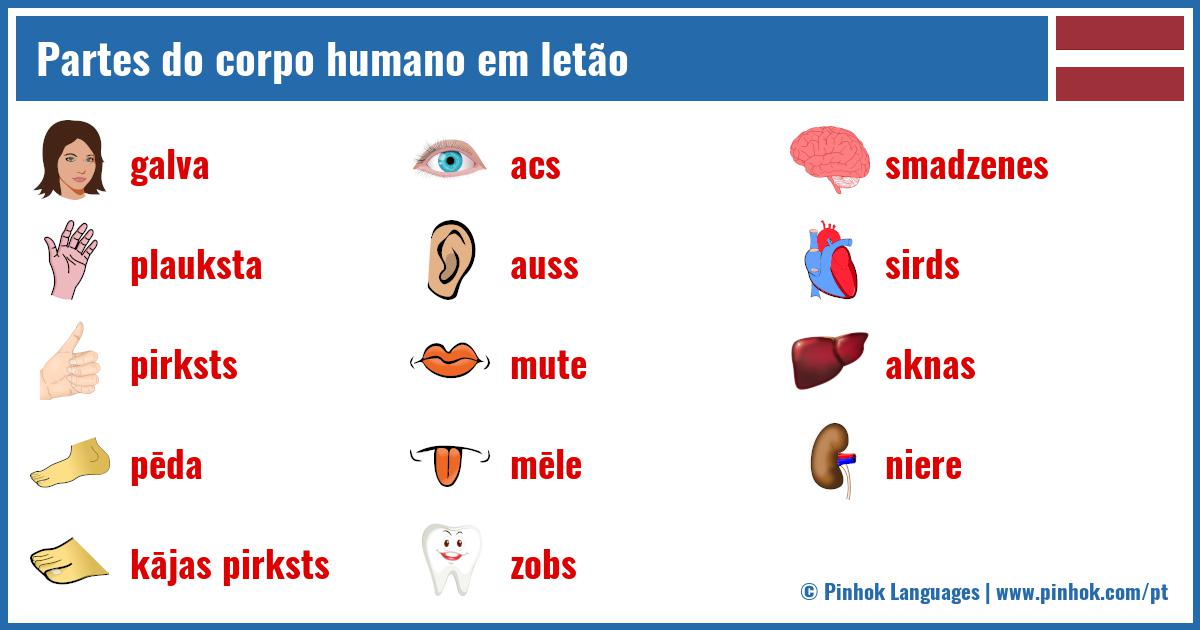 Partes do corpo humano em letão