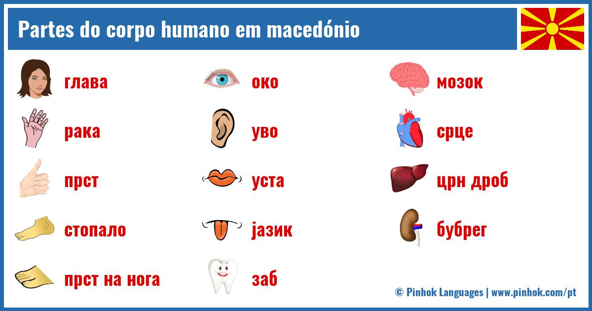 Partes do corpo humano em macedónio