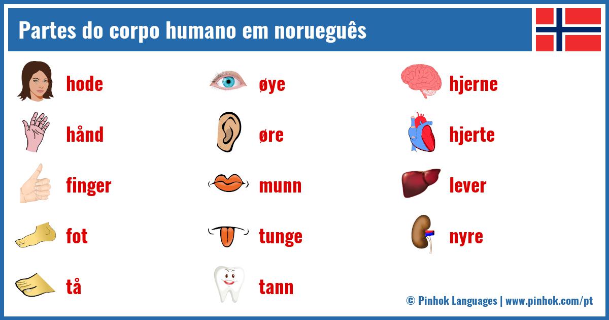 Partes do corpo humano em norueguês