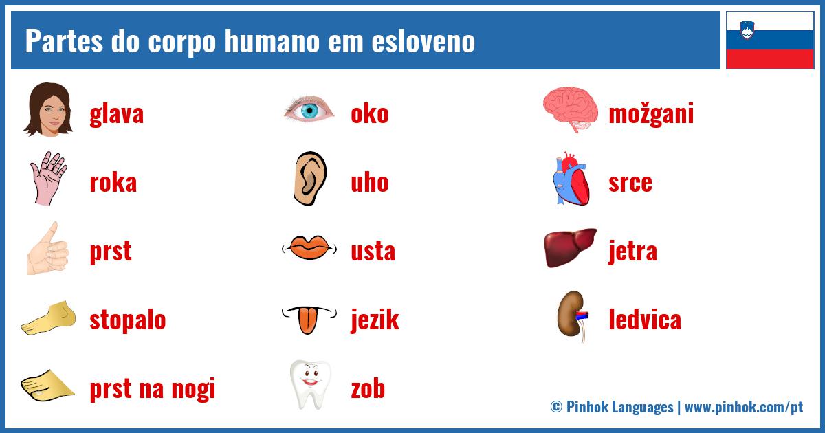Partes do corpo humano em esloveno