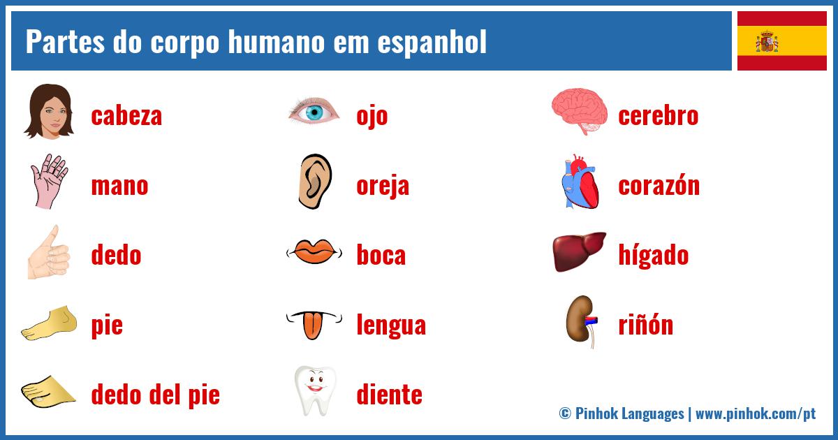 Partes do corpo humano em espanhol
