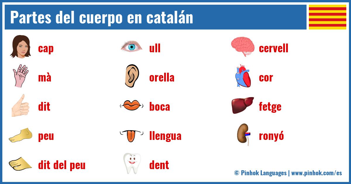 Partes del cuerpo en catalán