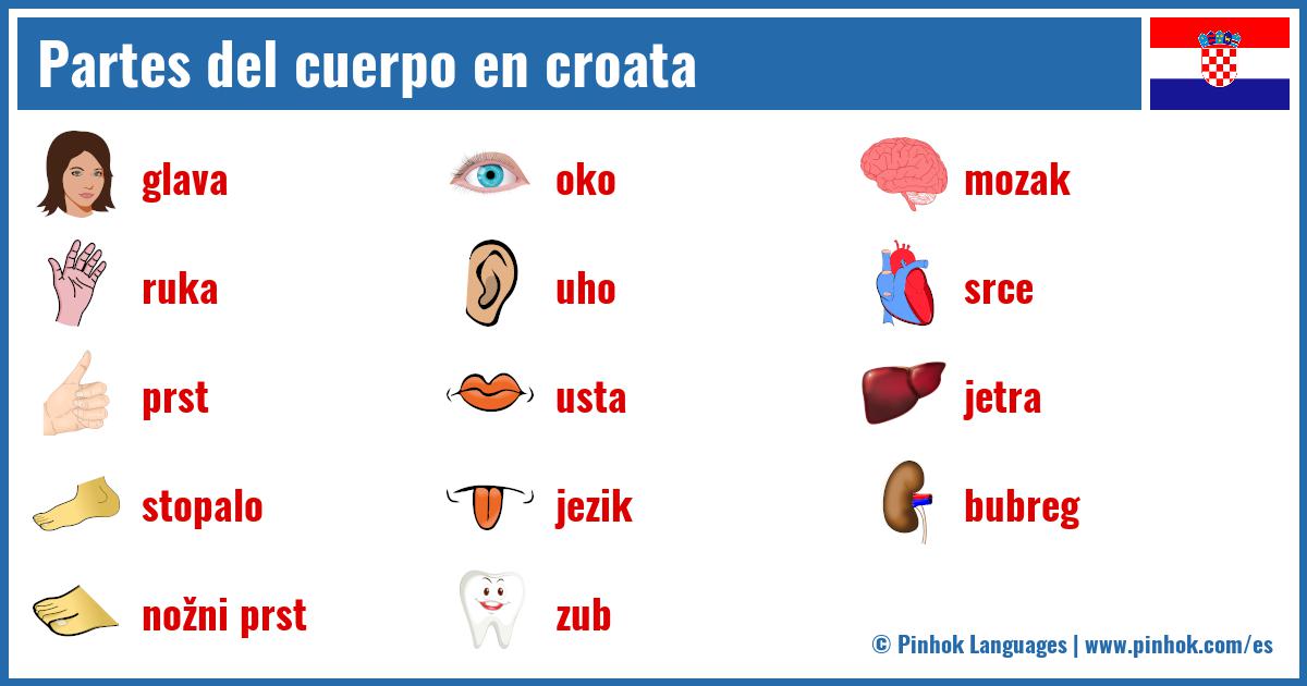 Partes del cuerpo en croata