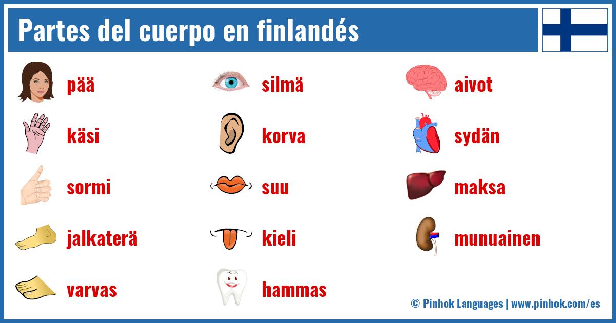 Partes del cuerpo en finlandés