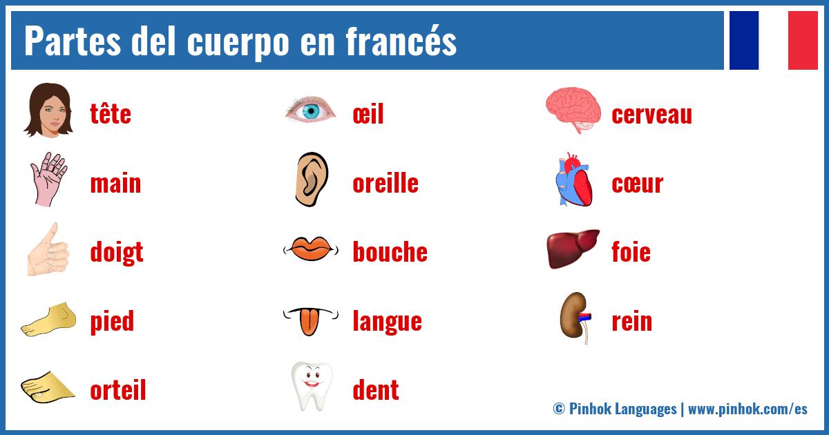 Partes del cuerpo en francés