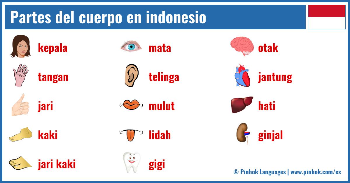 Partes del cuerpo en indonesio
