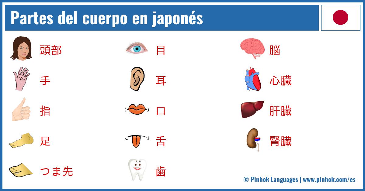 Partes del cuerpo en japonés