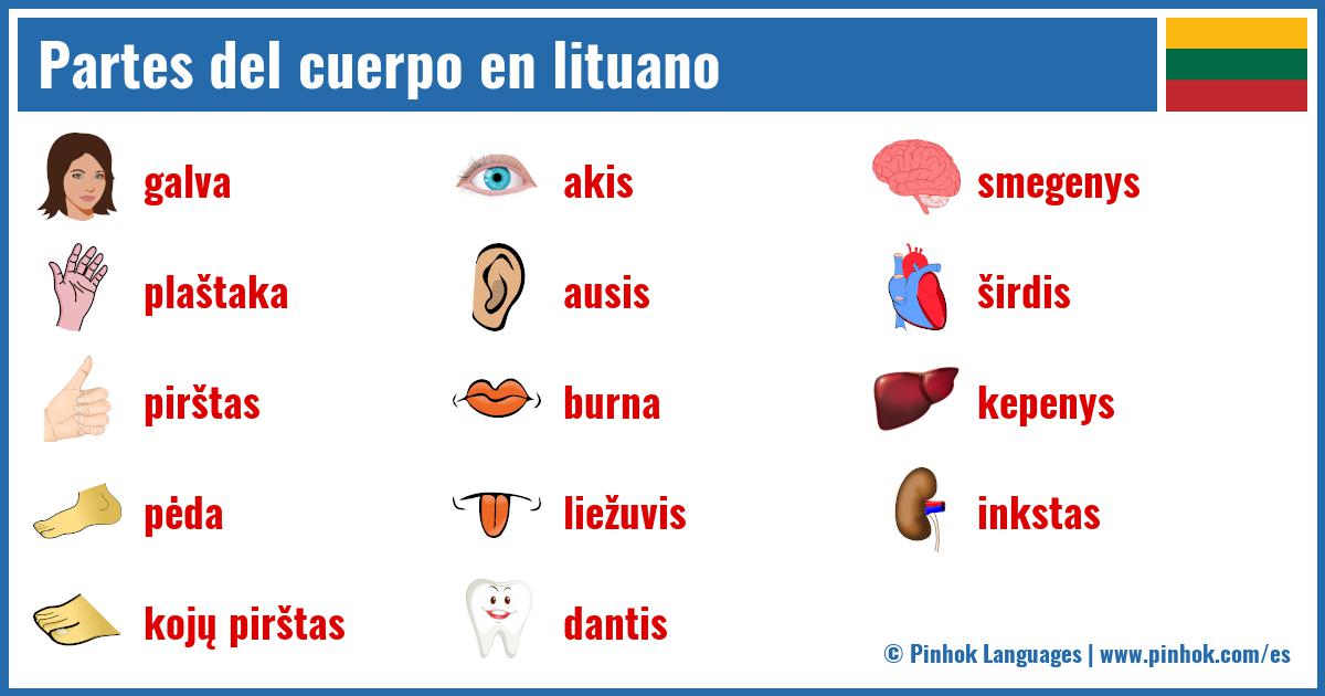 Partes del cuerpo en lituano