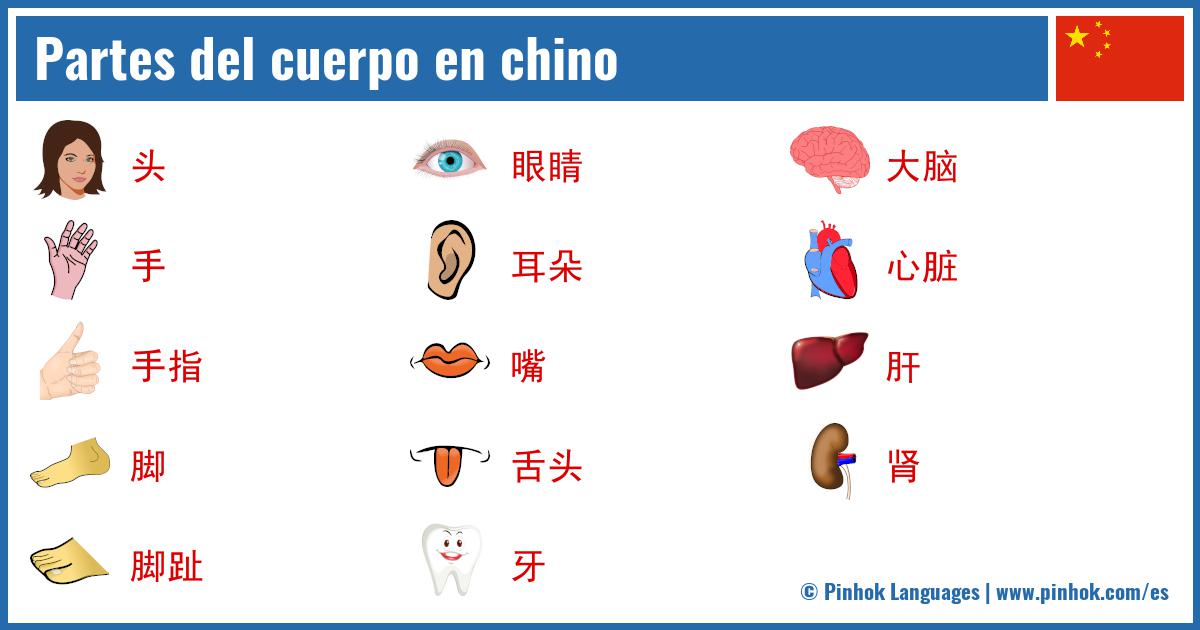 Partes del cuerpo en chino