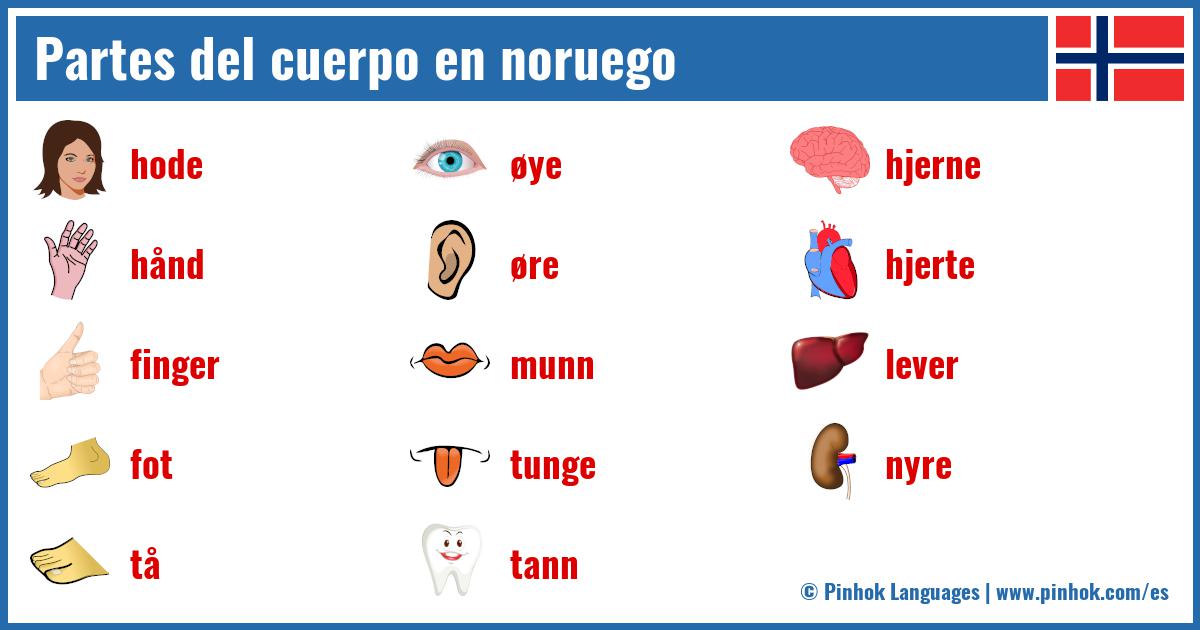 Partes del cuerpo en noruego