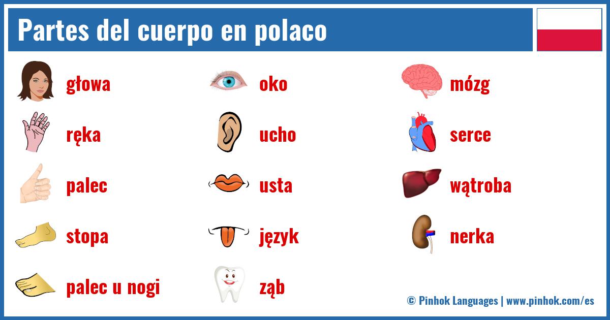 Partes del cuerpo en polaco