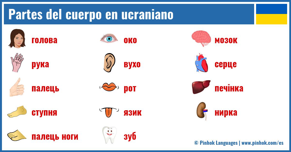 Partes del cuerpo en ucraniano