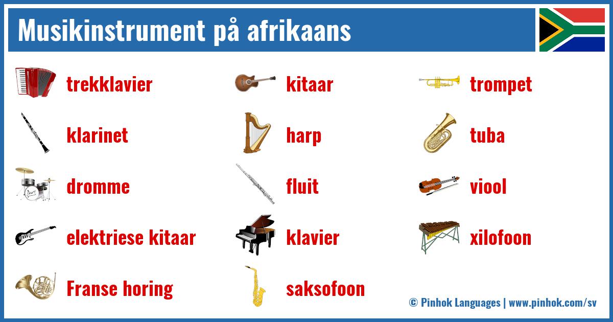 Musikinstrument på afrikaans