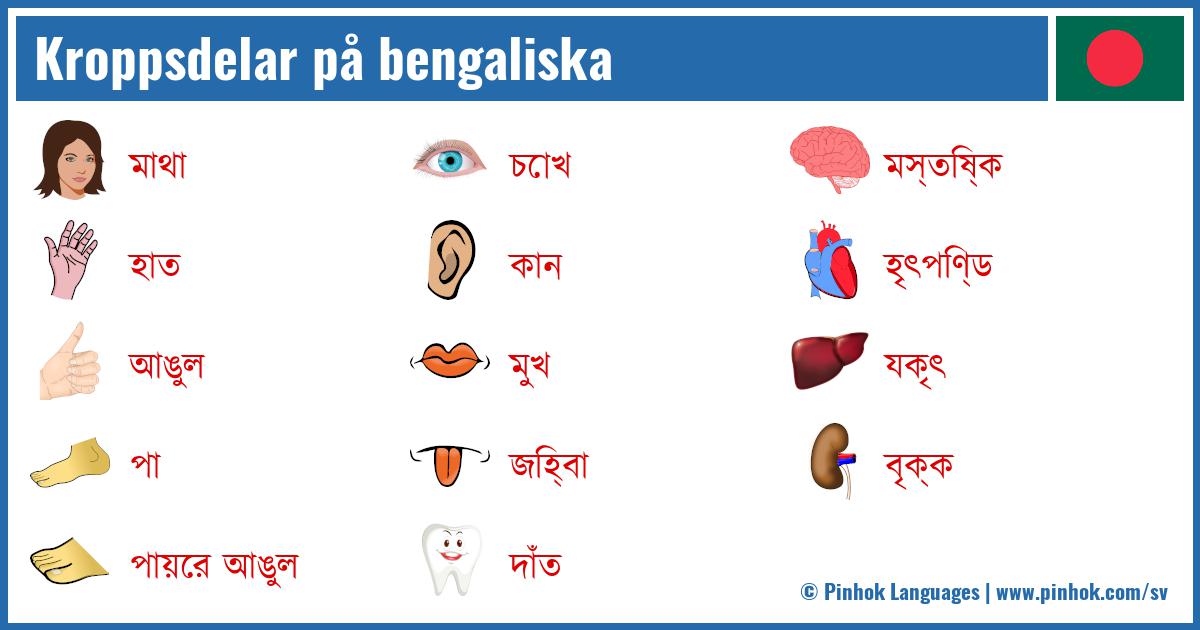 Kroppsdelar på bengaliska