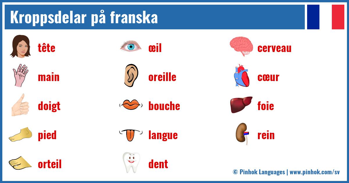 Kroppsdelar på franska