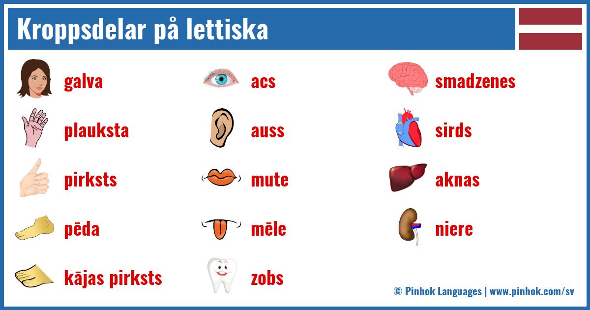Kroppsdelar på lettiska